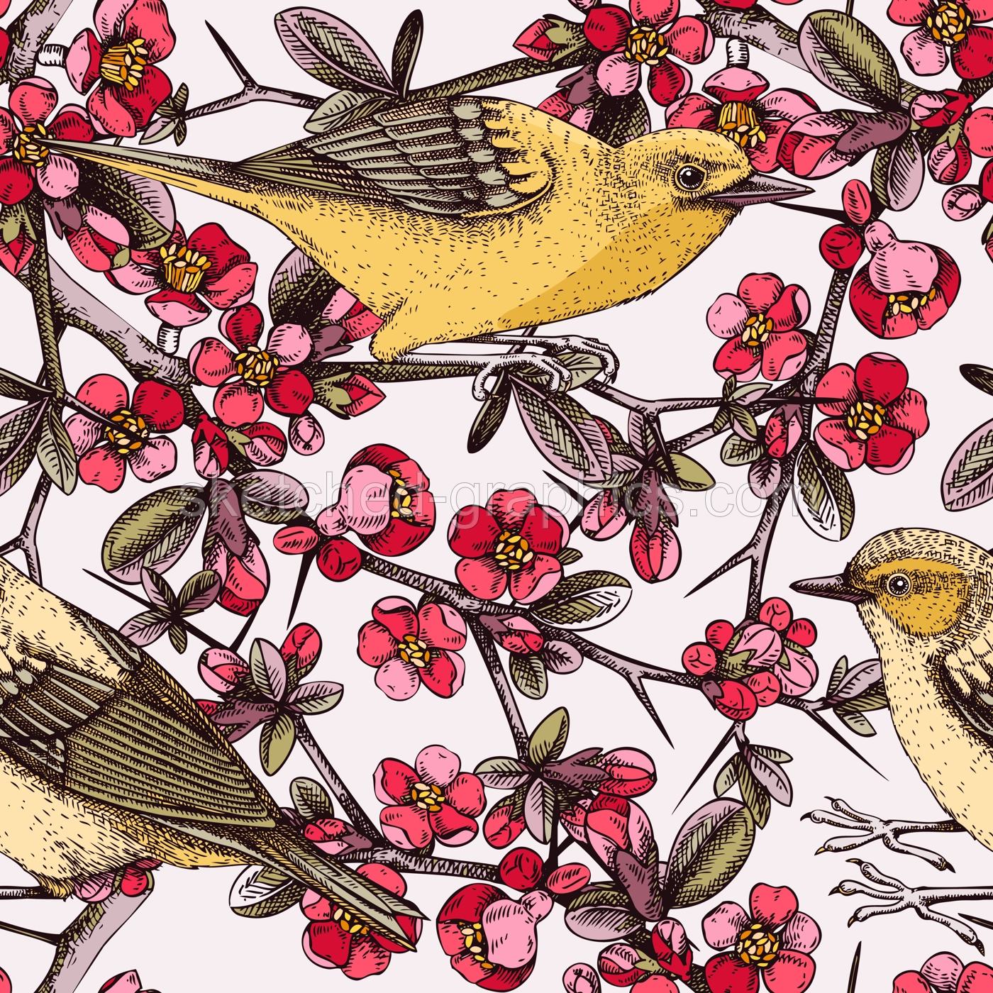 Vector spring background in engraved style. Yellow warbler sitting on blooming Japanese quince branch sketches in color. Songbird with beautiful flowers seamless pattern design for prints or textiles Illustration
